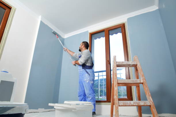 Best Forensic Mold Investigation  in Hillsdale, MI