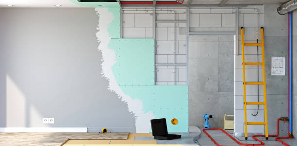 Reliable Hillsdale, MI Mold Removal Solutions